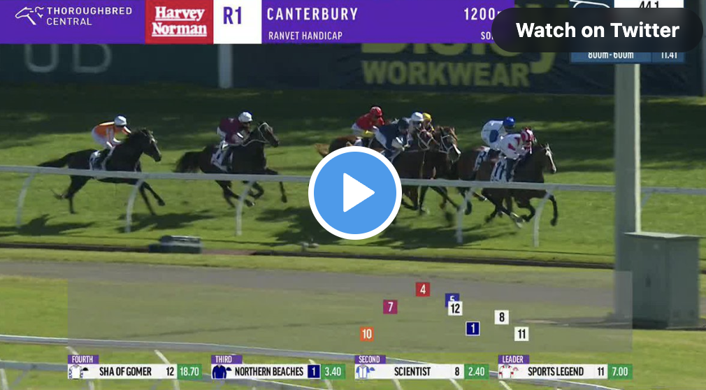 Northern Beaches stamps spring claims at Canterbury | Just Horse Racing