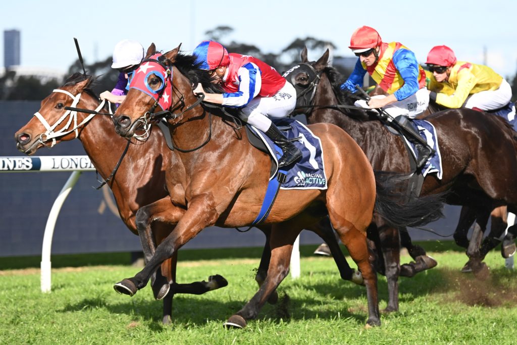 Raging Bull 13082022 5368 | Just Horse Racing