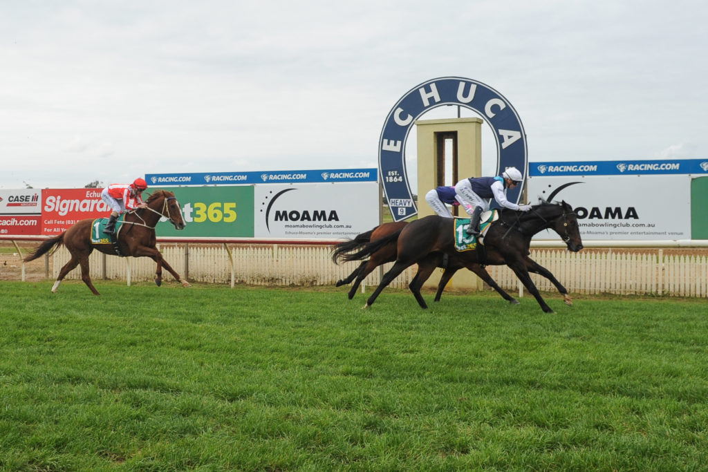 Echuca Races | Just Horse Racing