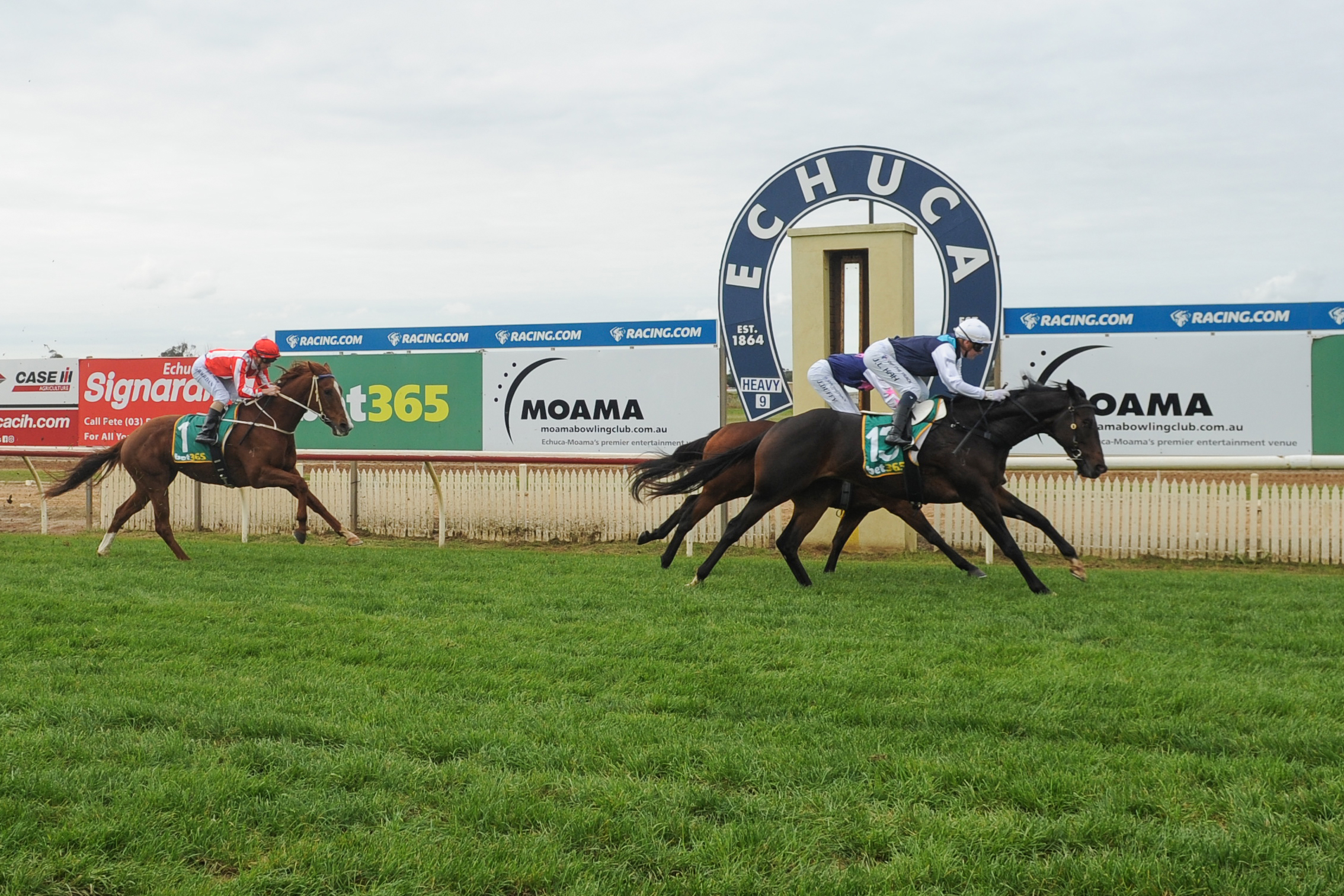 23/5/2026 Horse Racing Tips and Best Bets – Echuca | Just Horse Racing