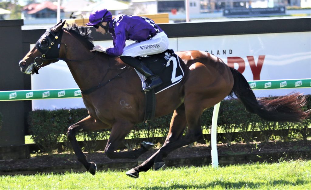 doomben race 3 Tumbler Ridge 1 | Just Horse Racing