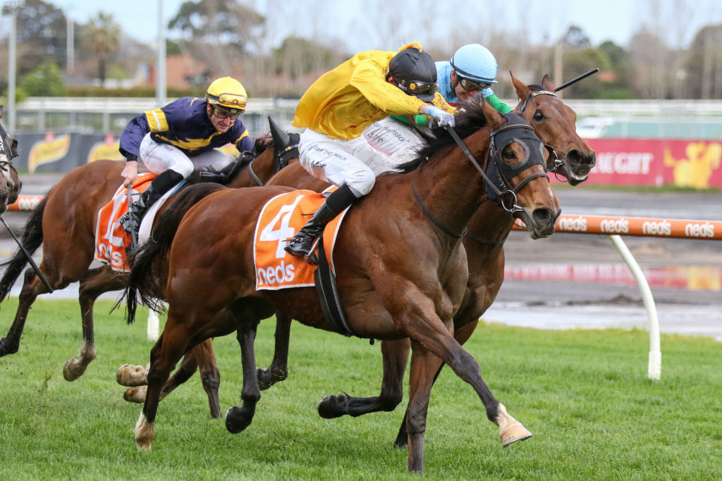 Callsign Mav 0V9A1152 | Just Horse Racing