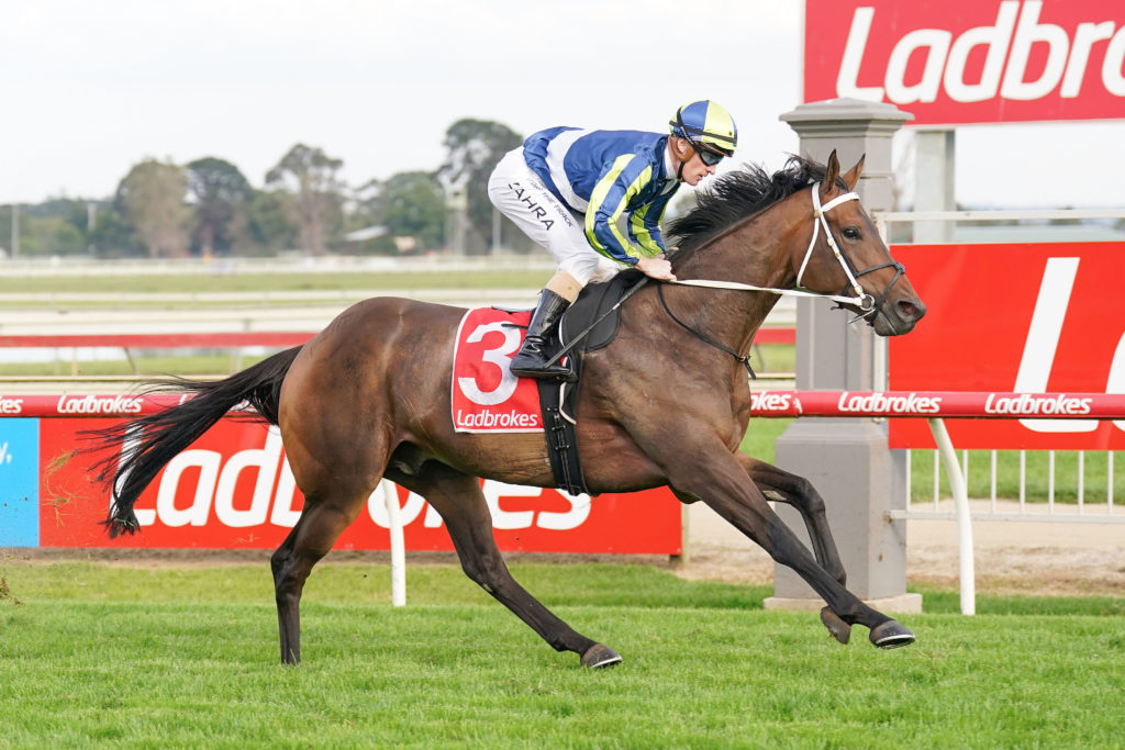 /r5/ | Just Horse Racing