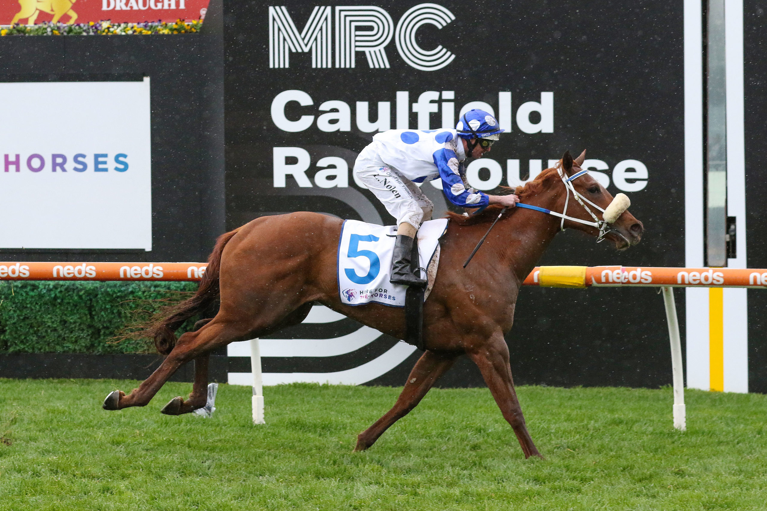 Thousand Guineas 2022 – Field Preview, Odds, Speed Map and Betting Strategy - Vimarsana News