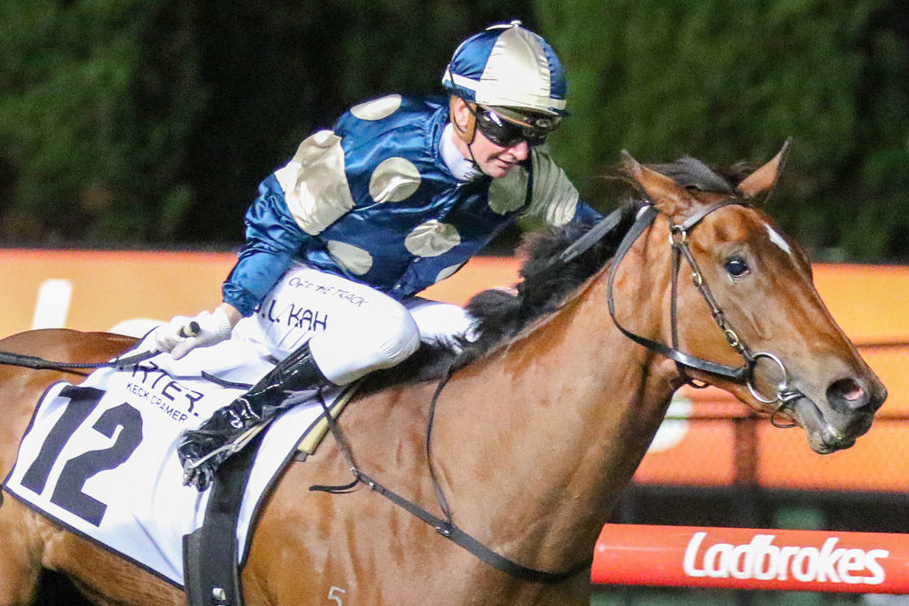 COOLANGATTA 0V9A1181 | Just Horse Racing