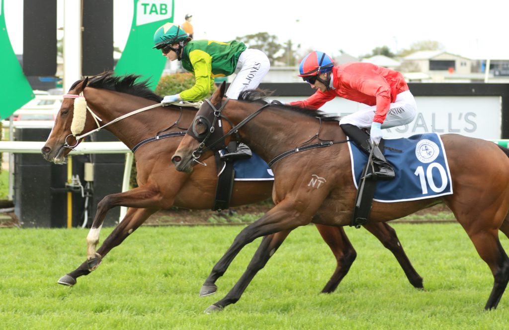Goldeel 2 | Just Horse Racing