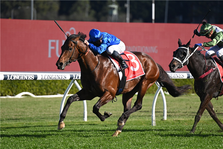 Anamoe all class in George Main | Just Horse Racing