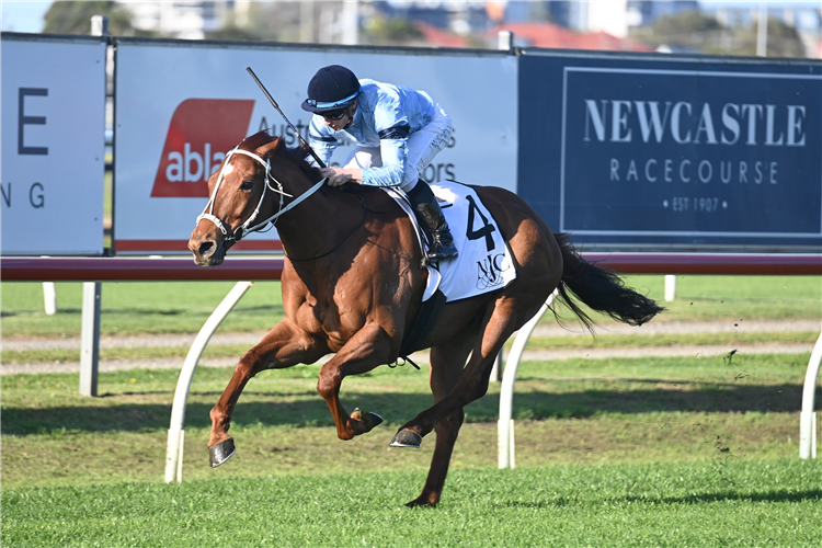 Durston lands second Cup win | Just Horse Racing