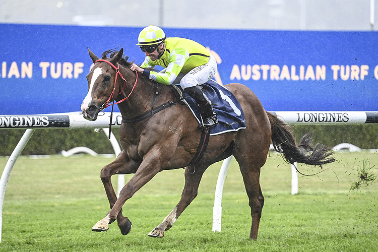 Shorts latest chapter in sprint duo’s rivalry | Just Horse Racing