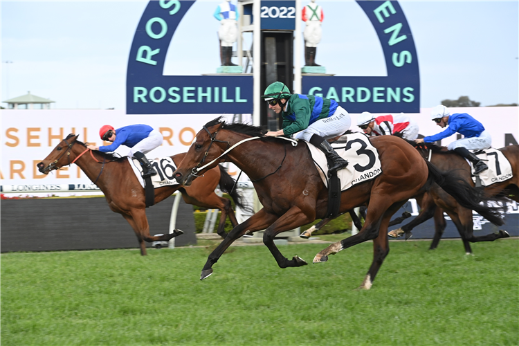 Jacquinot storms into Everest calculations | Just Horse Racing