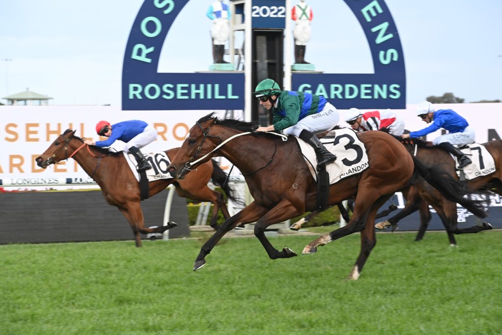 Jacquinot 24092022 0434 | Just Horse Racing