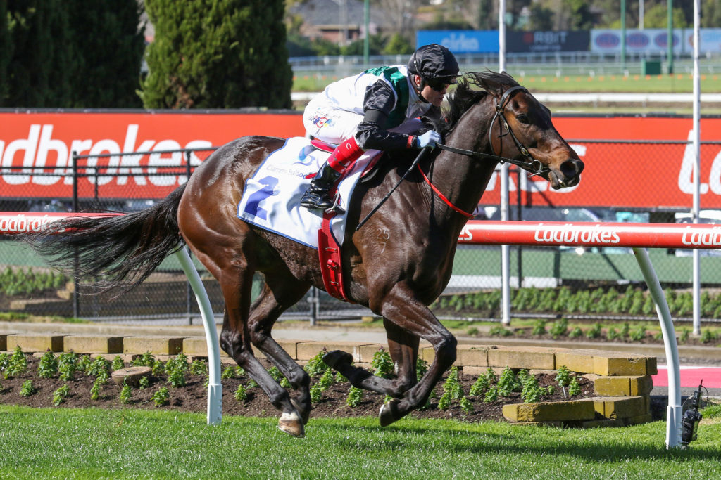 Mr Brightside,Feehan Stakes,Group 2_03-09-2022_WIN_Moonee Valley_4__579 | Just Horse Racing