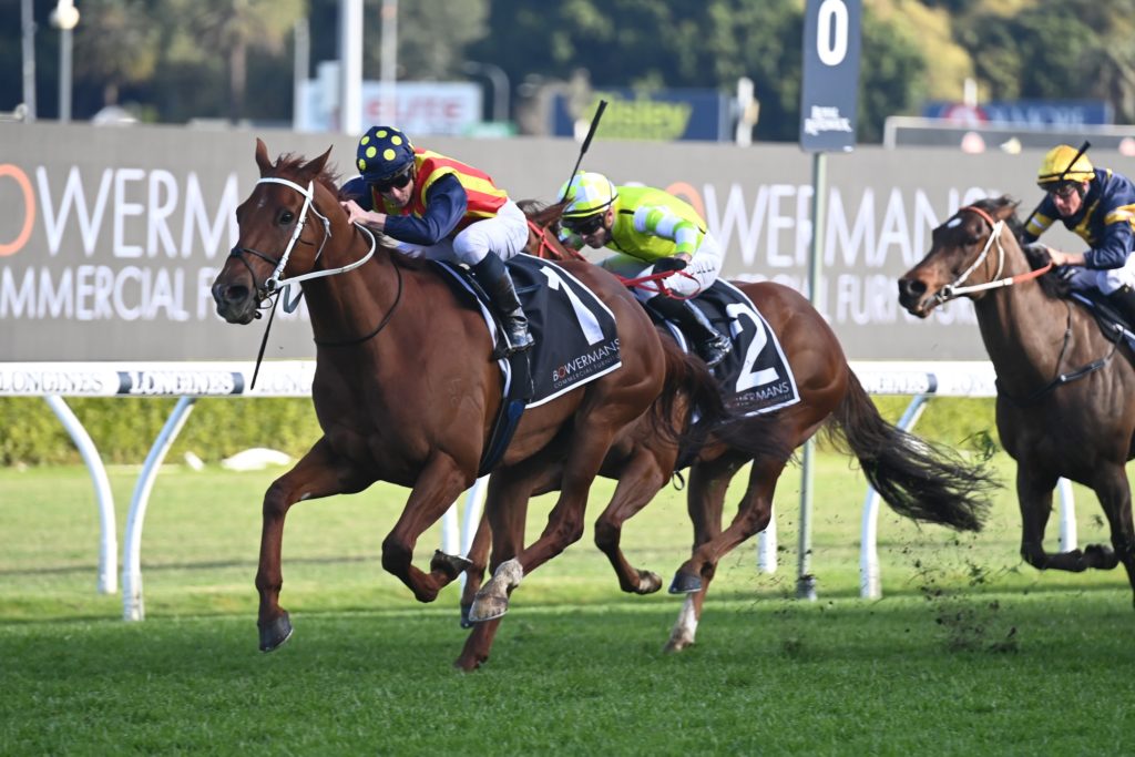 Nature Strip 17092022 9301 | Just Horse Racing