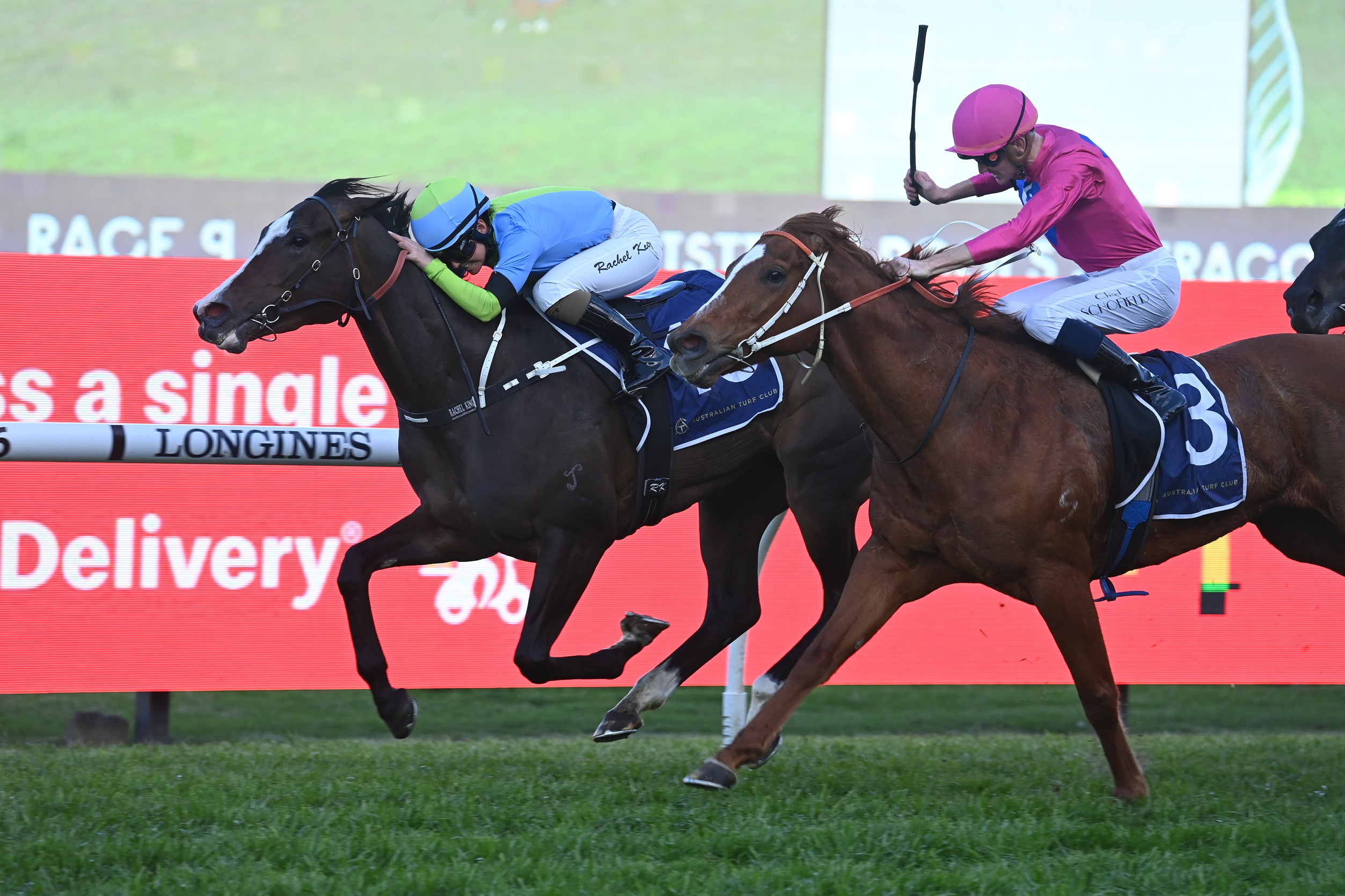 Baker mare to come up Roses in The Galaxy - Vimarsana News