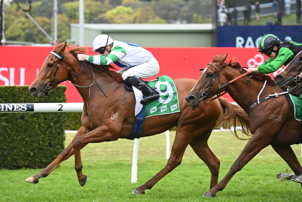 Sneaky Paige 03092022 3550 | Just Horse Racing