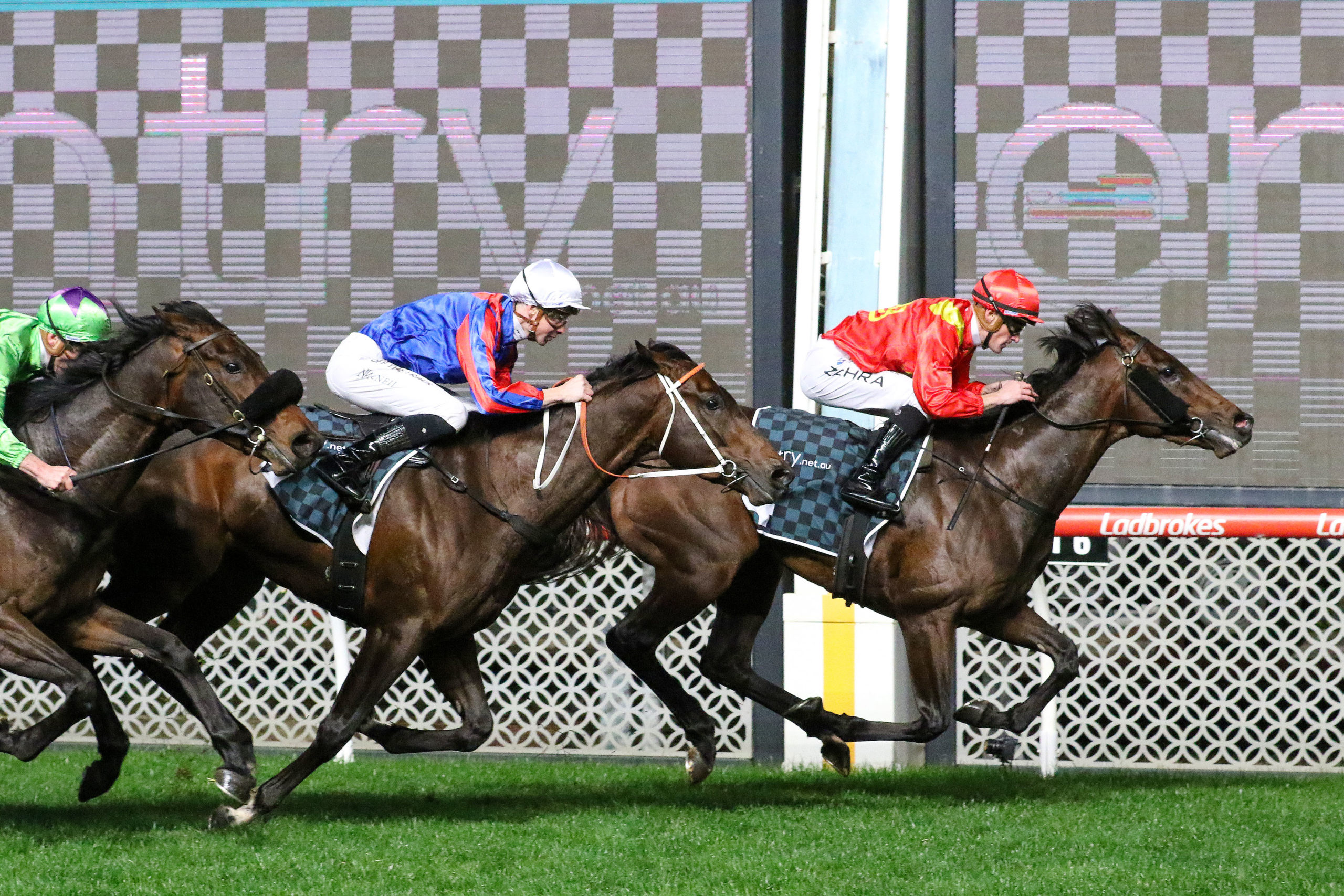 Tijuana on target for the Caulfield Guineas - Vimarsana News