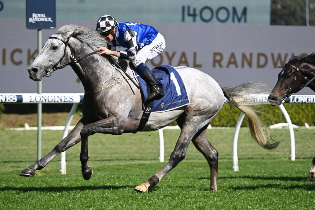 Top Ranked 17092022 8595 | Just Horse Racing