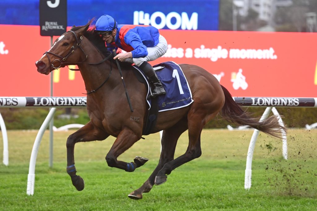 Zaaki 03092022 4411 | Just Horse Racing