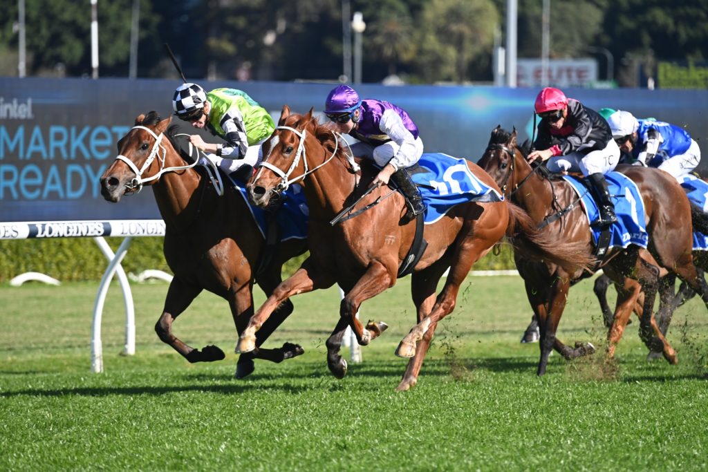 Zougotcha 17092022 8736 | Just Horse Racing