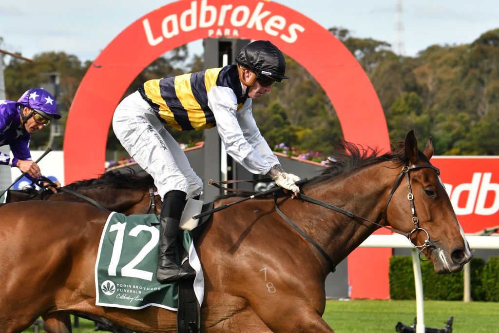 Regal Lion | Just Horse Racing
