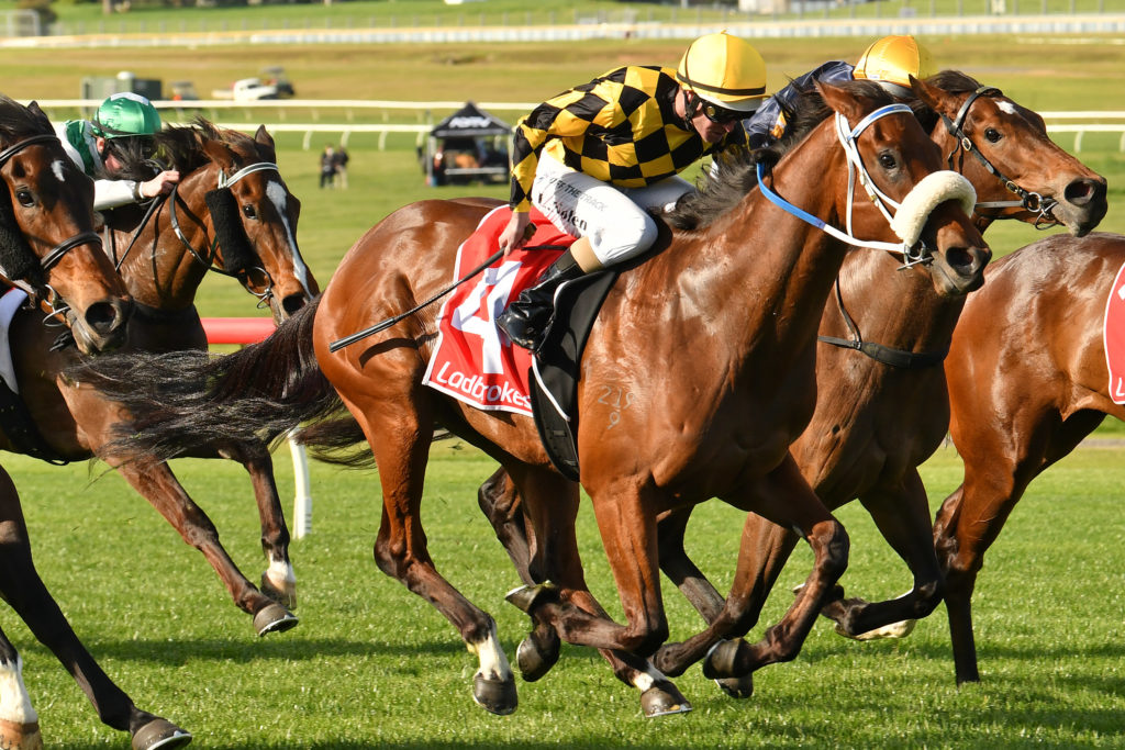 Waltz On By | Just Horse Racing