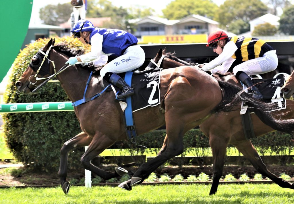 Ballina Cup Field 2024