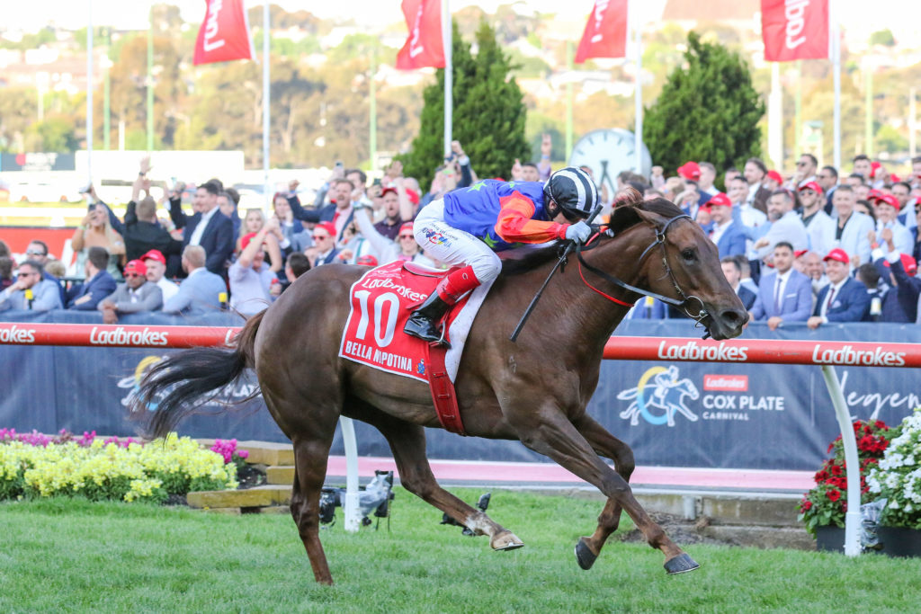 Bella Nipotina,Manikato Stakes,Group 1_22-10-2022_WIN_Moonee Valley_11__2907 | Just Horse Racing