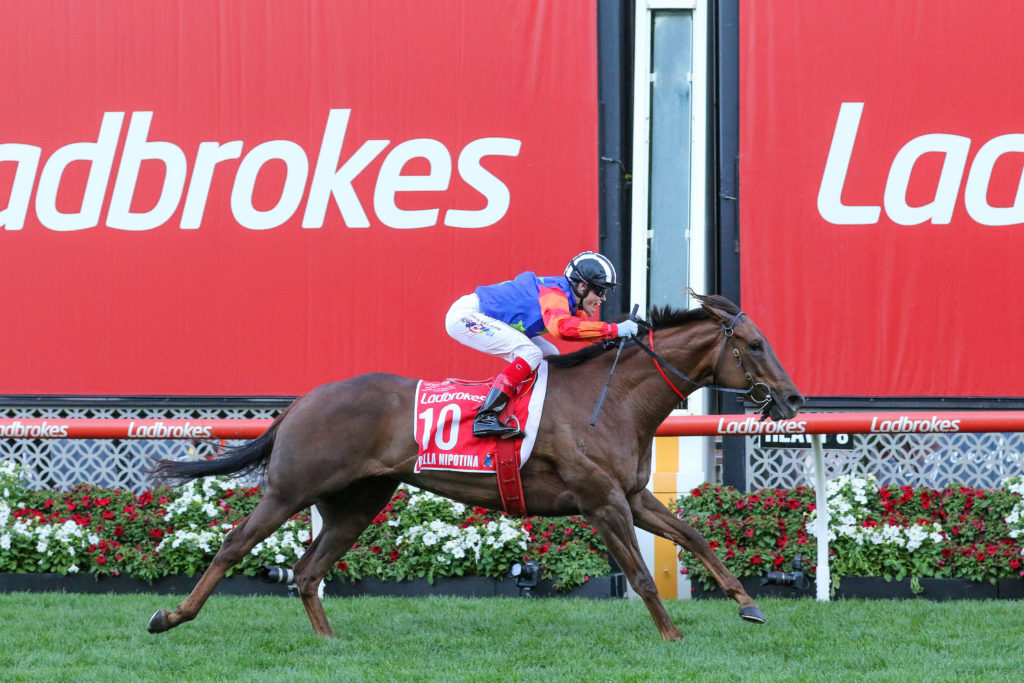 Bella Nipotina,Manikato Stakes,Group 1_22-10-2022_WIN_Moonee Valley_11__2912 | Just Horse Racing