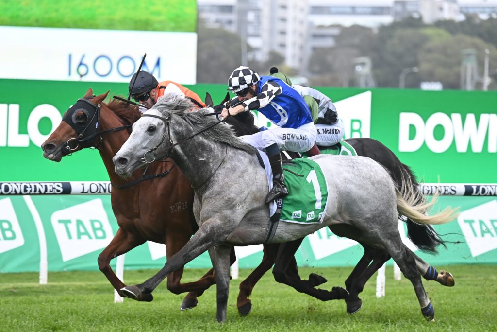 Ellsberg & Top Ranked 01102022 3787 | Just Horse Racing