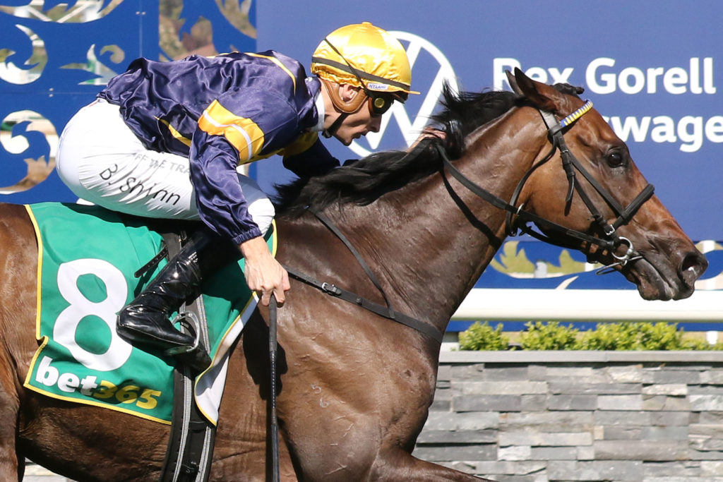 Emissary 0V9A0973 | Just Horse Racing