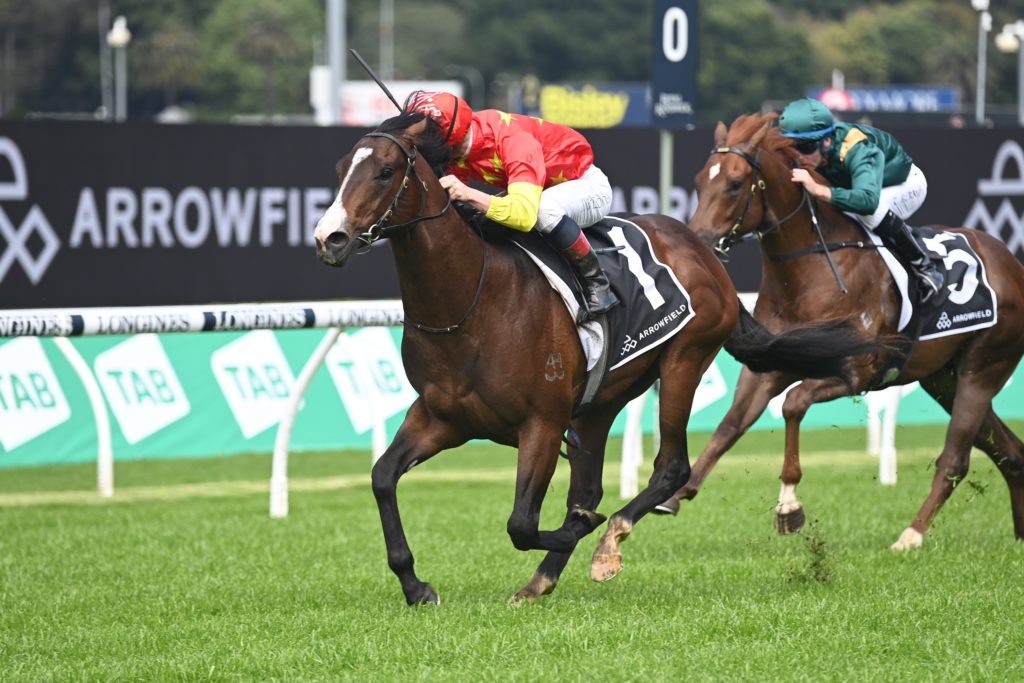 Empire Of Japan 01102022 2659 | Just Horse Racing