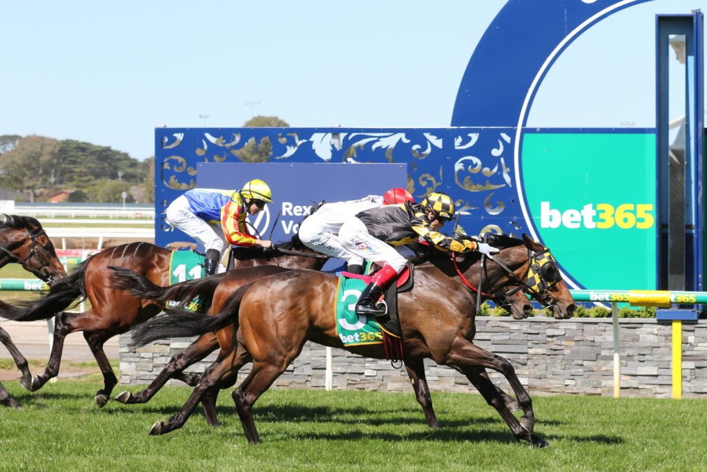 GRAND PIERRO 0V9A0664 | Just Horse Racing