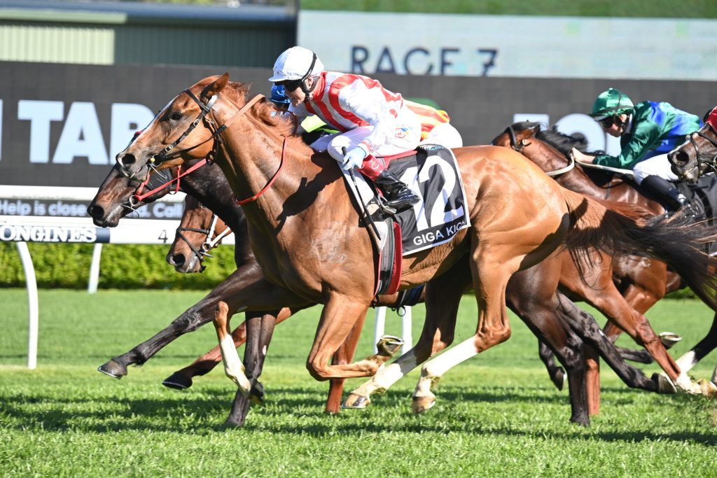 Giga Kick 15102022 8065 | Just Horse Racing