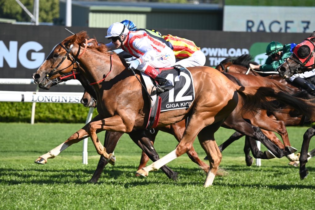 Giga Kick 15102022 8066 | Just Horse Racing