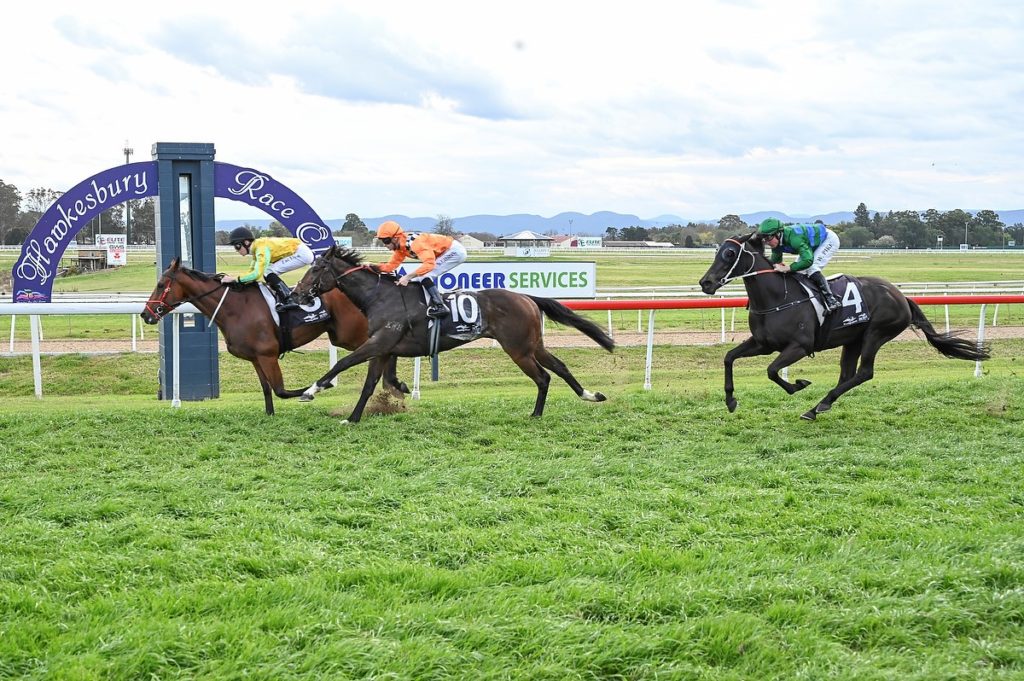 23/5/2024 Horse Racing Tips and Best Bets – Hawkesbury