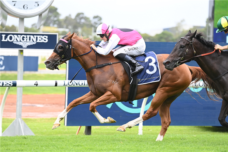 Expat to bounce back in the wet | Just Horse Racing