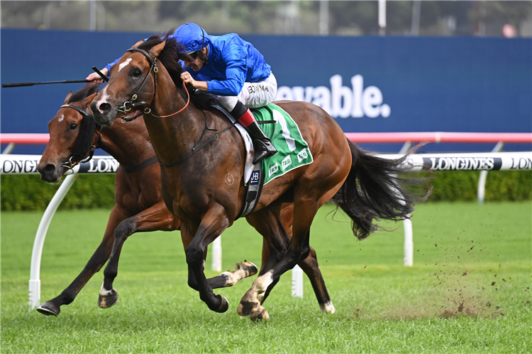 Godolphin colt in Golden touch | Just Horse Racing