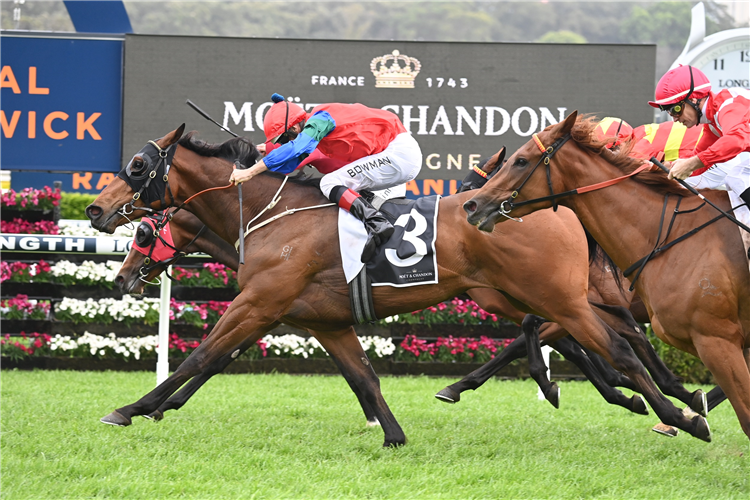 Derby favourite arrives in Melbourne | Just Horse Racing