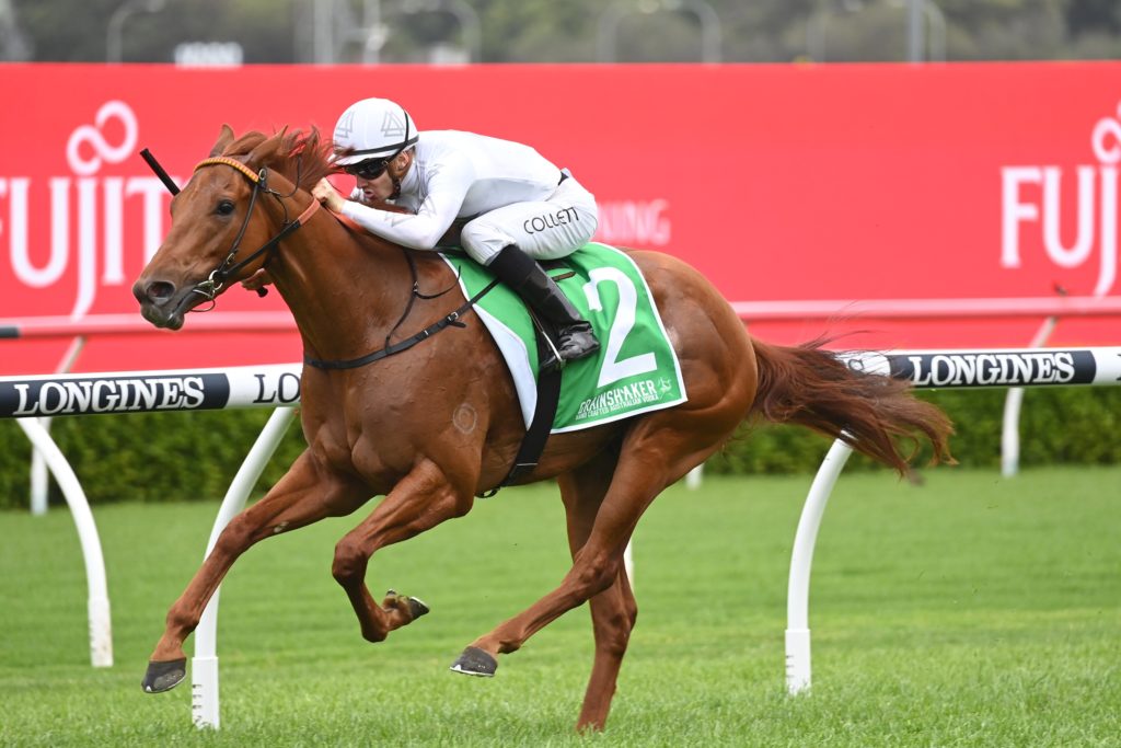 Kote 22102022 9597 | Just Horse Racing
