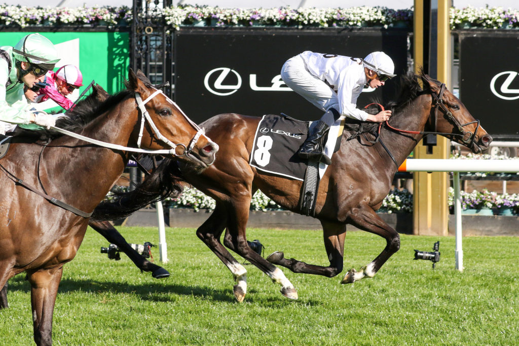 Lunar Flare,The Bart Cummings,Group 3_01-10-2022_WIN_Flemington_6__1082 | Just Horse Racing