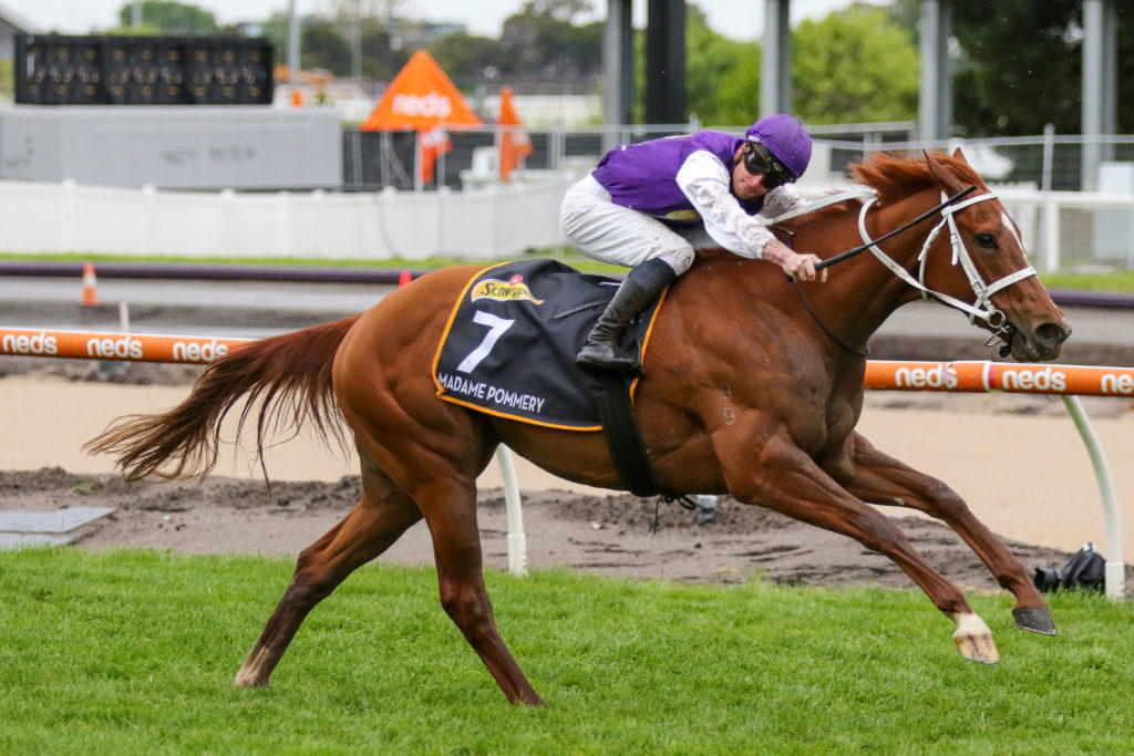 Madame Pommery,Schweppes Thousand Guineas,Group 1_12-10-2022_WIN_Caulfield_8__1154 | Just Horse Racing