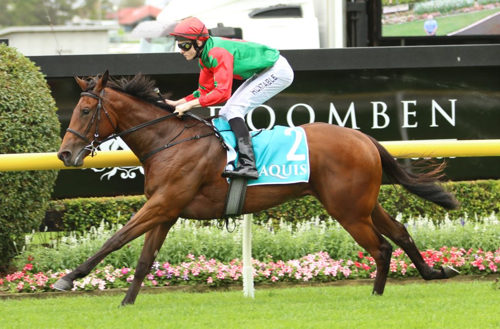 Miss Coota 2 | Just Horse Racing