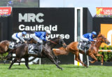 Caulfield races