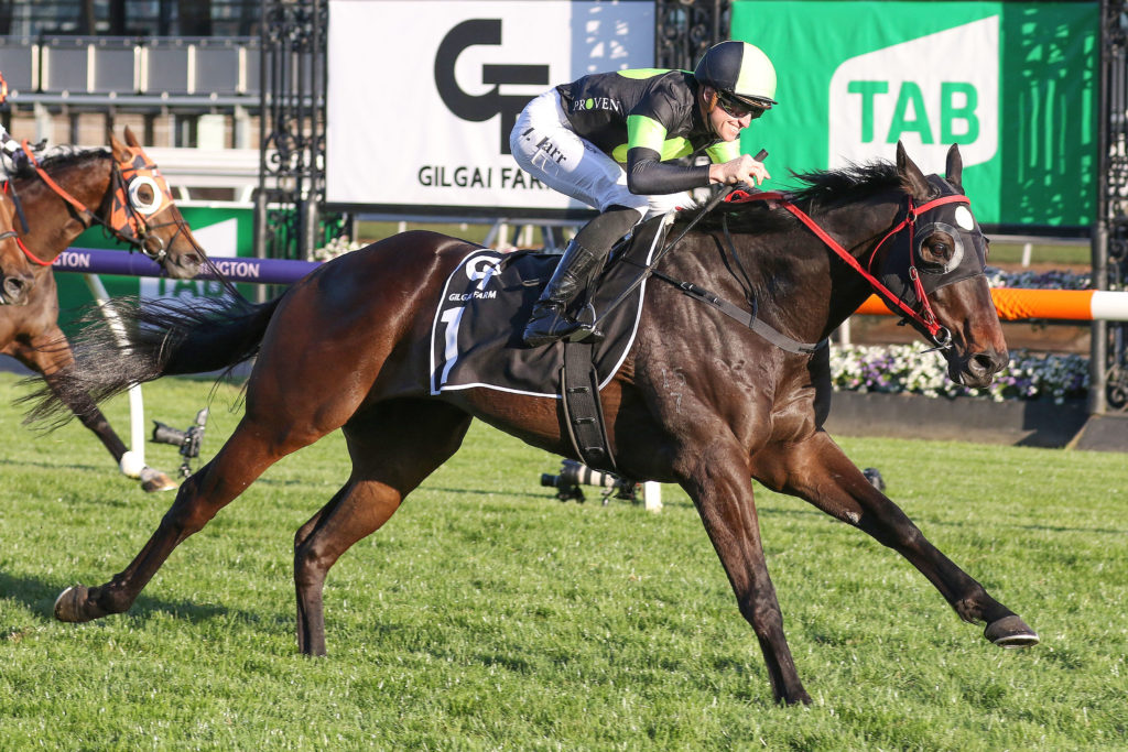 Private Eye,Gilgai Stakes,Group 2_01-10-2022_WIN_Flemington_8__1620 | Just Horse Racing