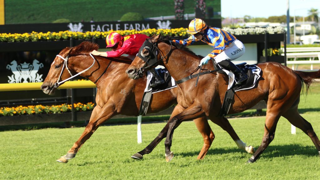 Rainbow Connection 4 | Just Horse Racing