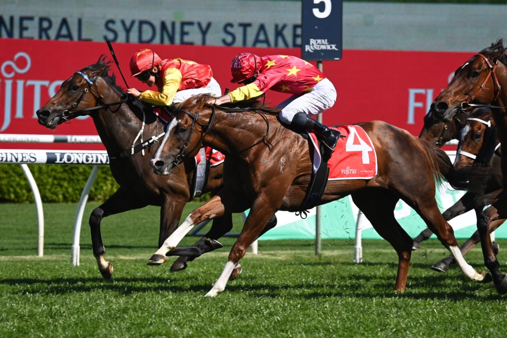 Rocketing By 15102022 7813 | Just Horse Racing