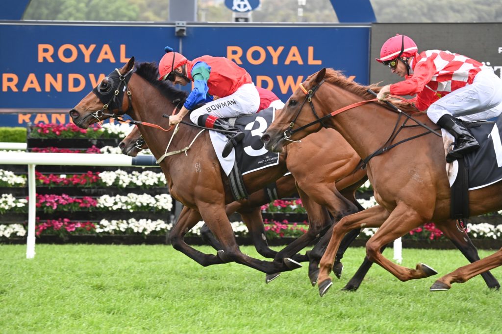 Sharp N Smart 22102022 9947 | Just Horse Racing