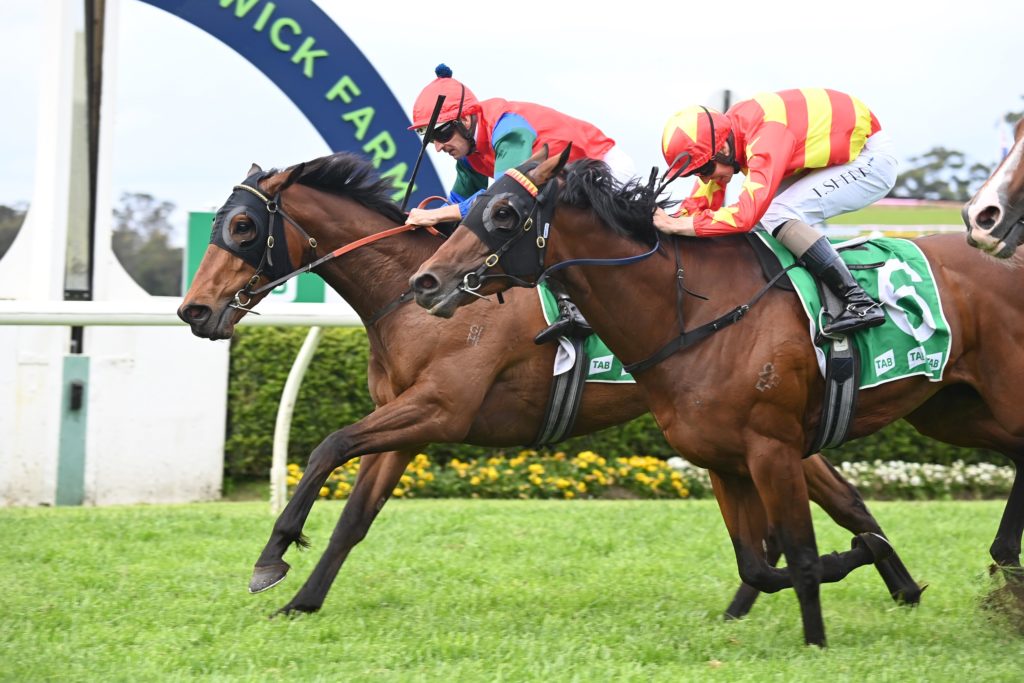 Sharp N Smart 6512 | Just Horse Racing