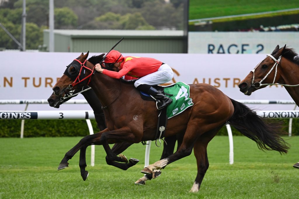 Socrates 22102022 9007 | Just Horse Racing