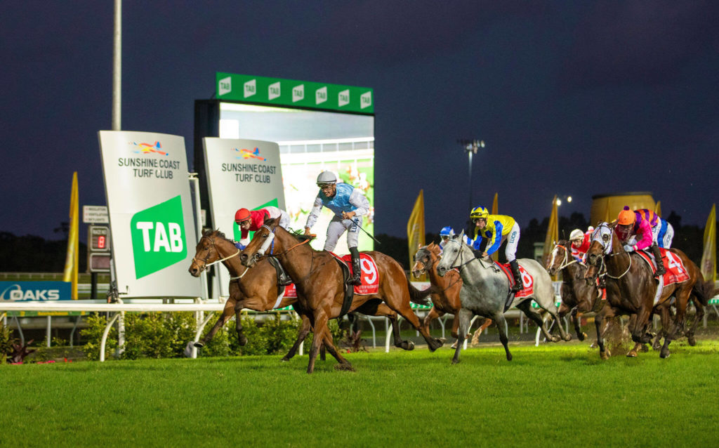 4/1/2025 Horse Racing Tips and Best Bets – Sunshine Coast, Magic Millions Sunlight day